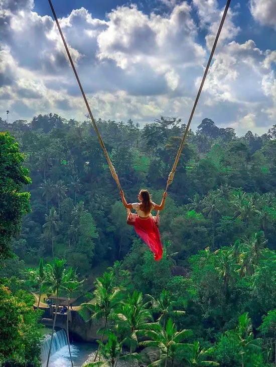 Bali swing above tropical jungle