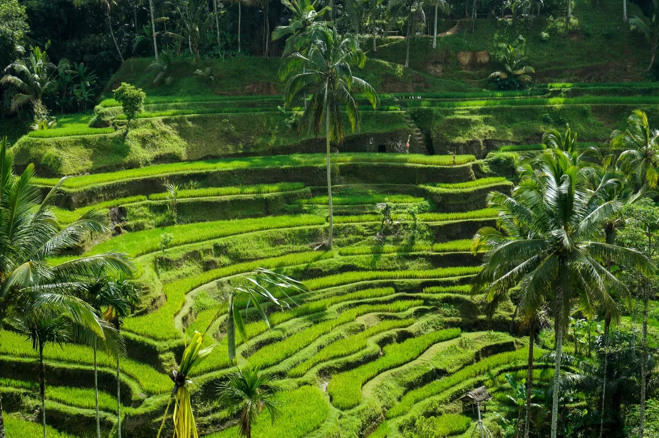 Tanah Lot coastline for a Bali travel guide