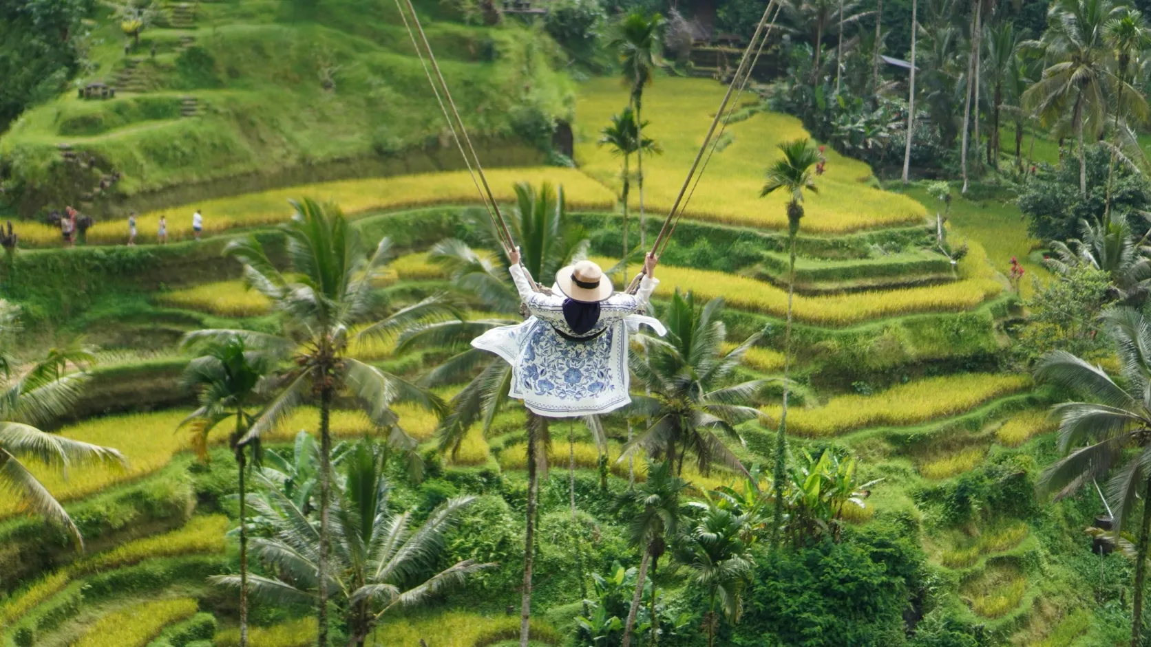 Green rice terraces stepping down a valley