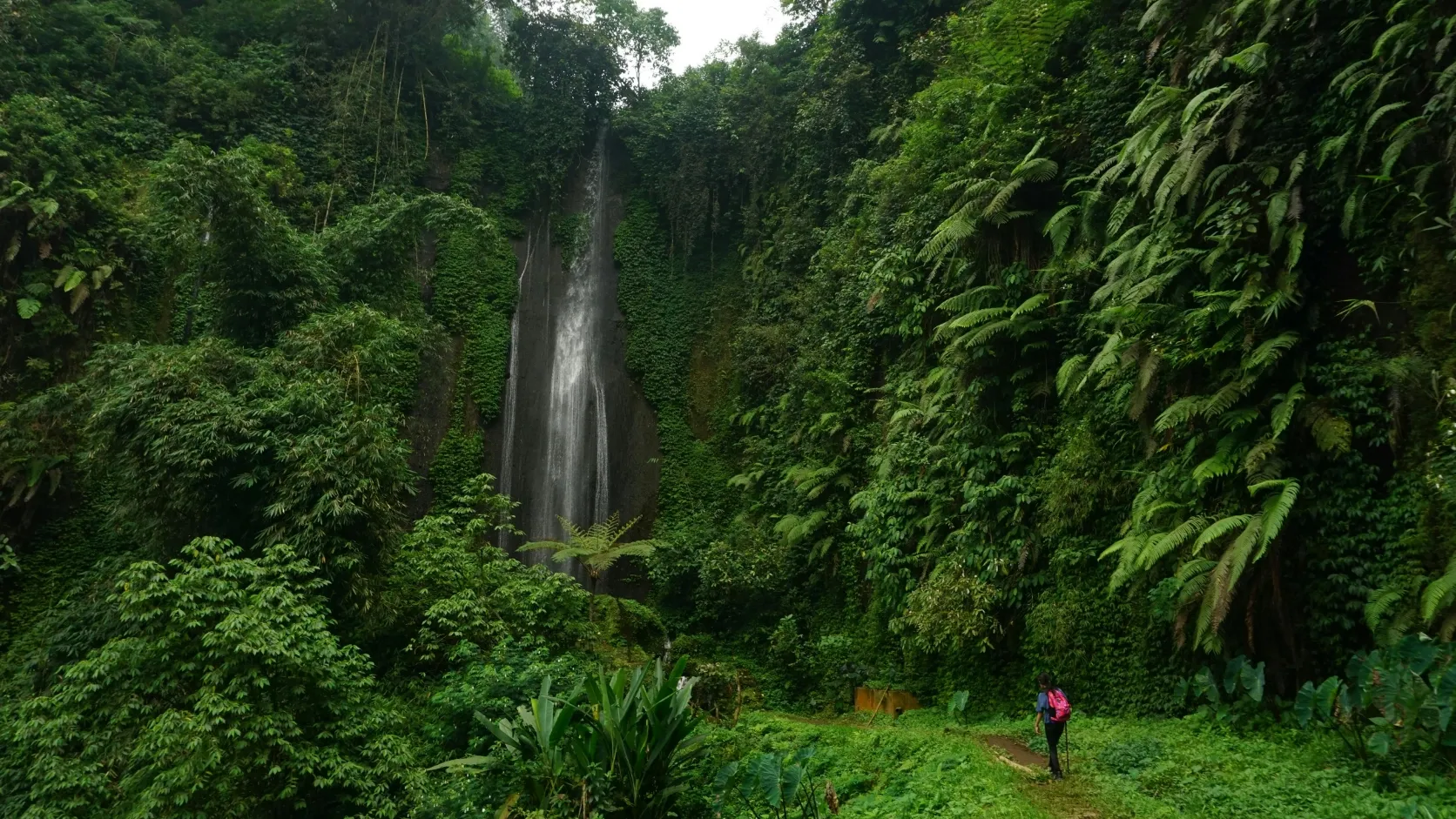Waterfall in dense tropical forest