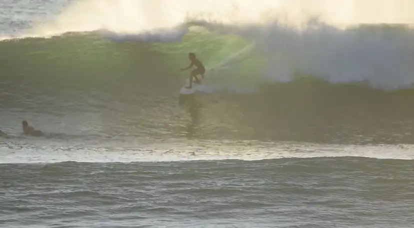Surfer riding an ocean wave during a surf lesson in Bali