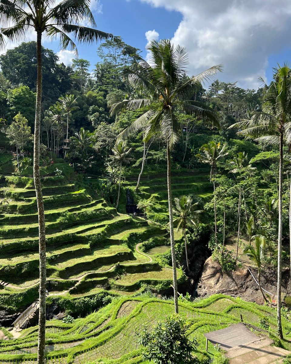 Ubud Tour