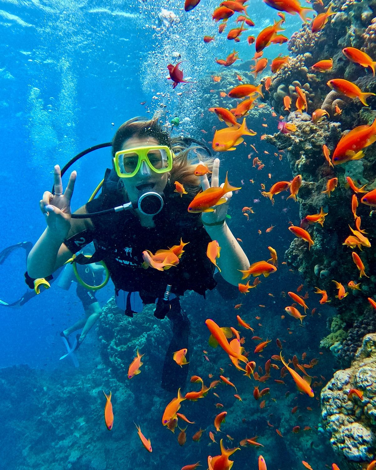 Marine Experience