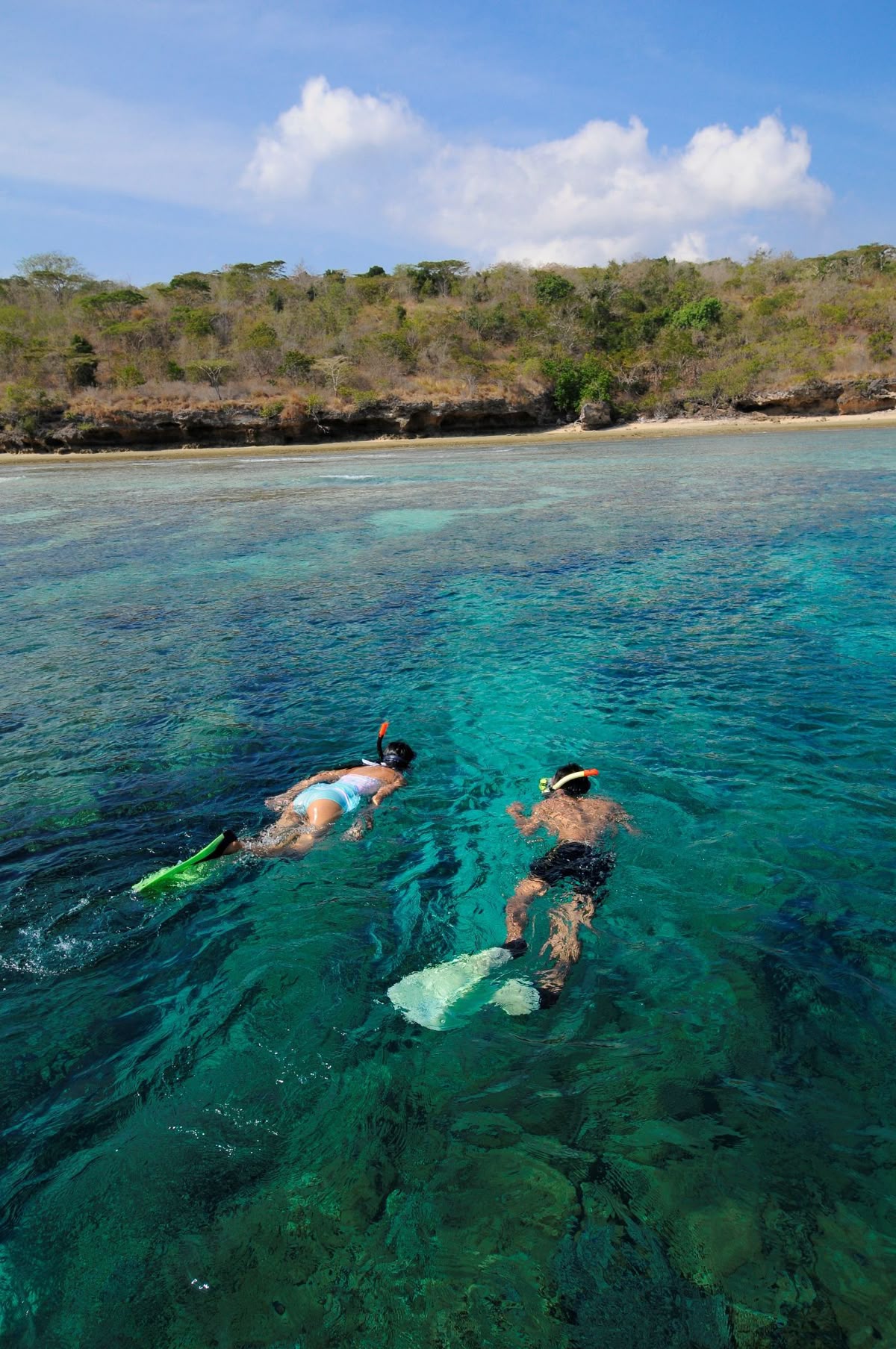 Snorkeling Menjangan