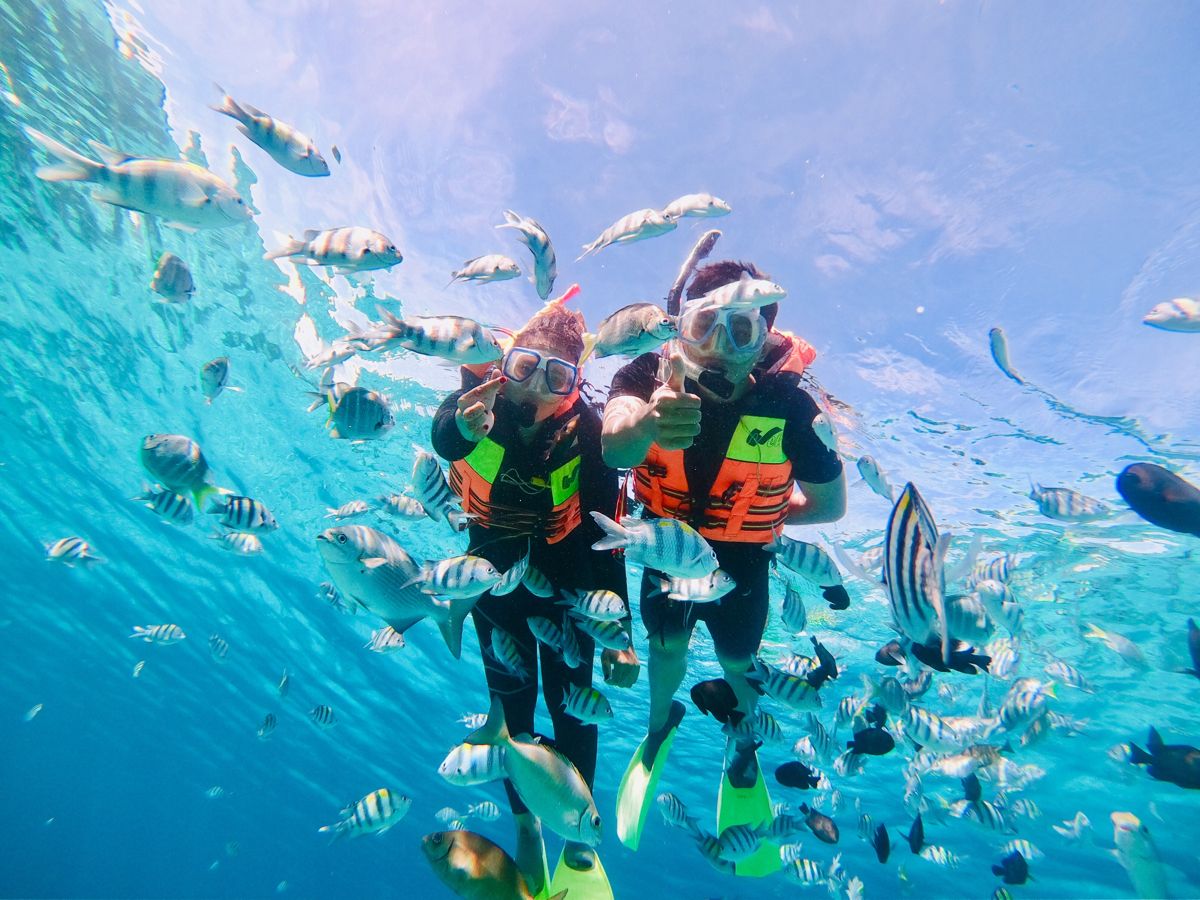 Snorkeling Lovina