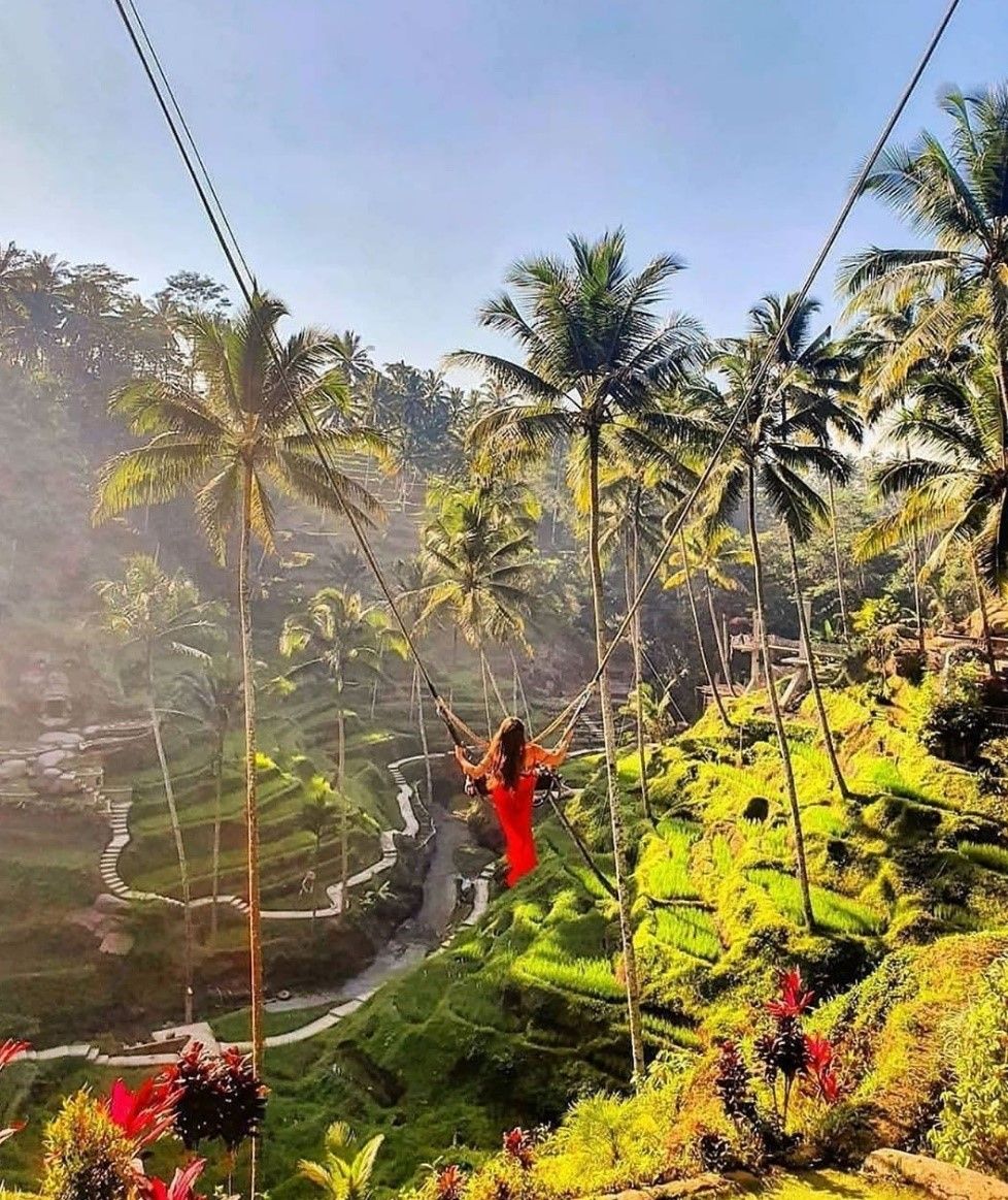 Bali Rice Terraces