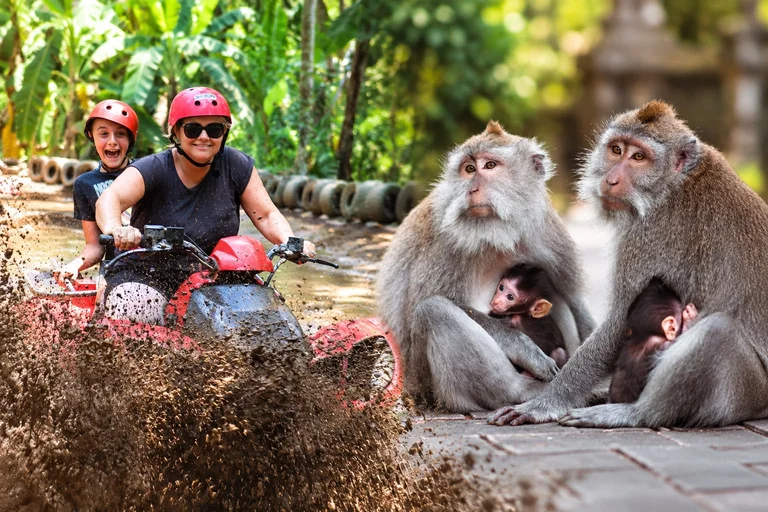 ATV – Monkey Forest – Ancient Temple