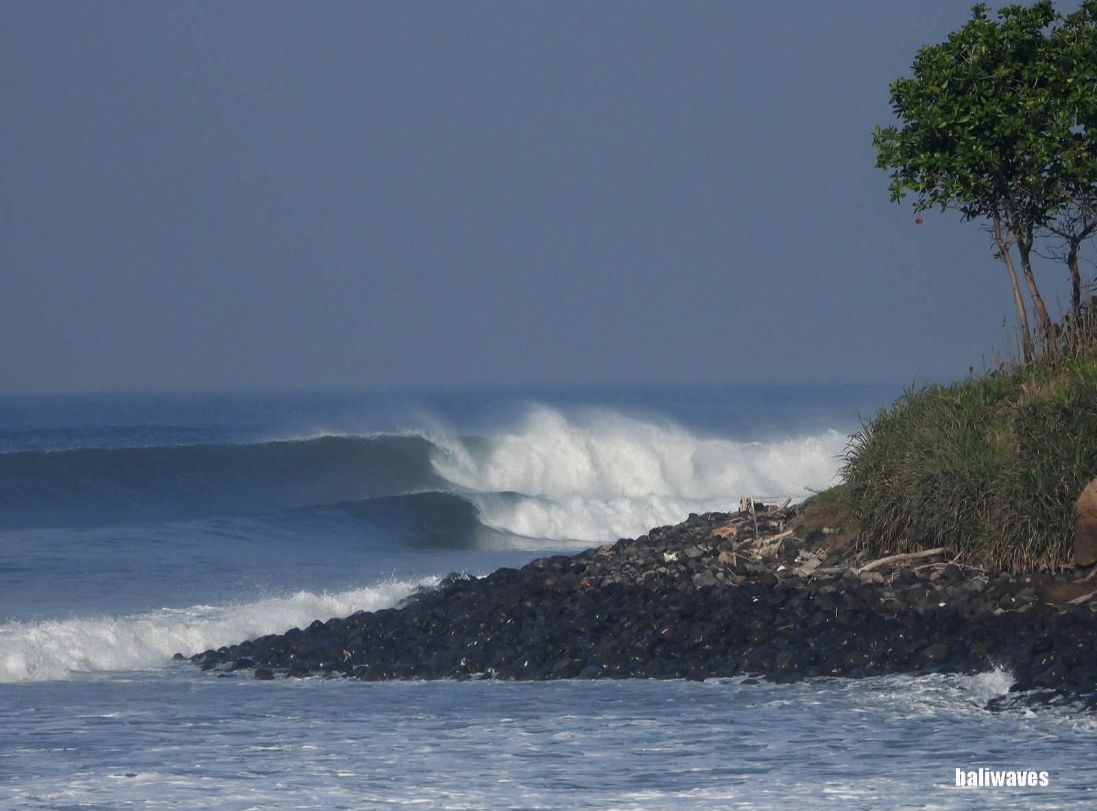Rows of surf boards on a tropical beach