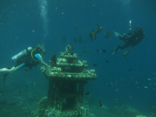 Temple & turtle adventure 3