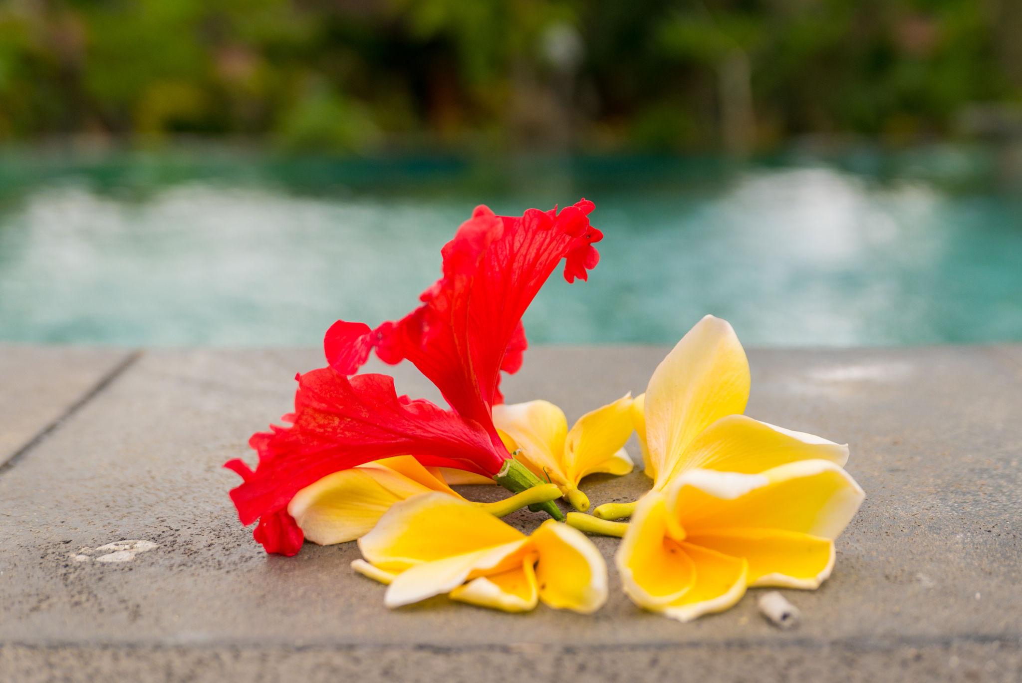 Alora Bali photography session