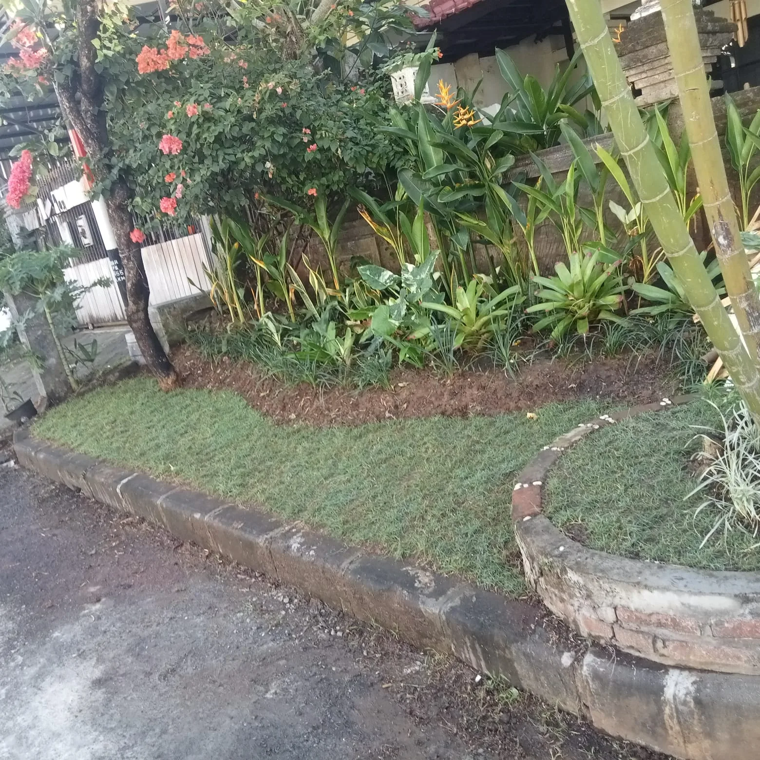 Perawatan & Penataan Kebun / Taman
