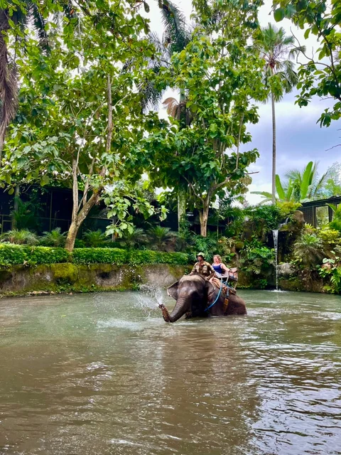 Elephant Bathing Experience BNB BALI TRIP