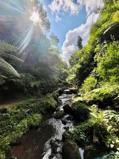 Ubud River Valley Nature BNB BALI TRIP