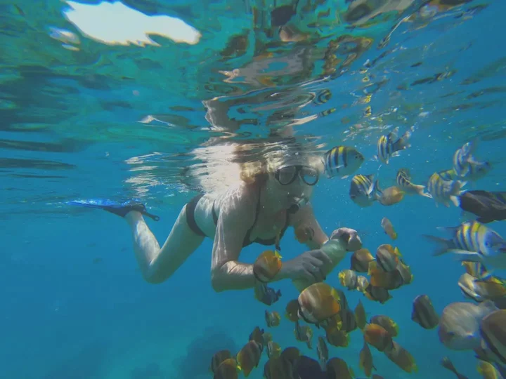 Tropical Reef Snorkeling BNB BALI TRIP